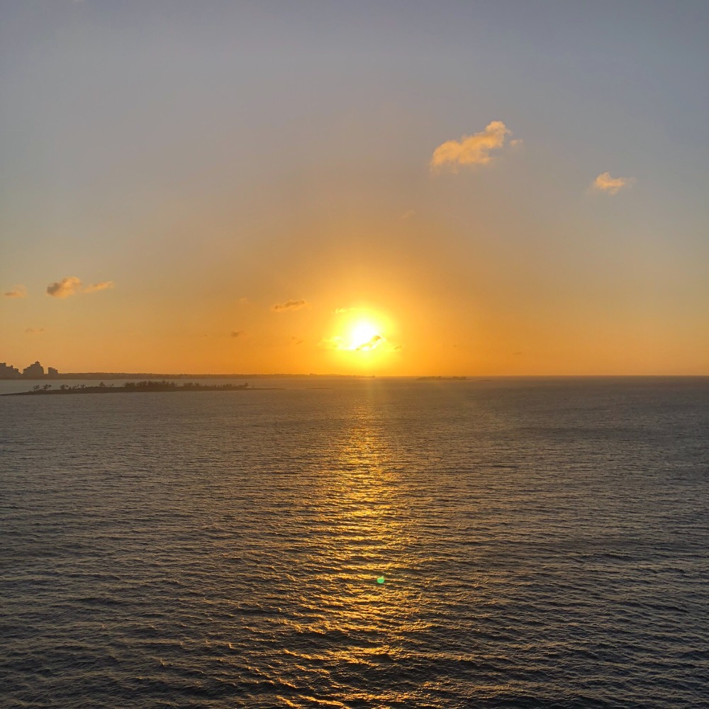 Meet your Posher, Shelley